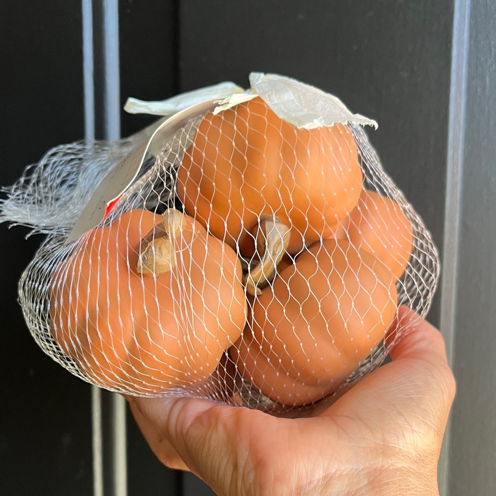 Decorative Faux Pumpkins in Mesh Bag